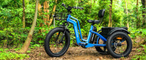 Electric Trikes