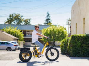 Fat Tire Electric Trikes