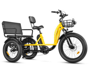 Passenger Electric Trikes