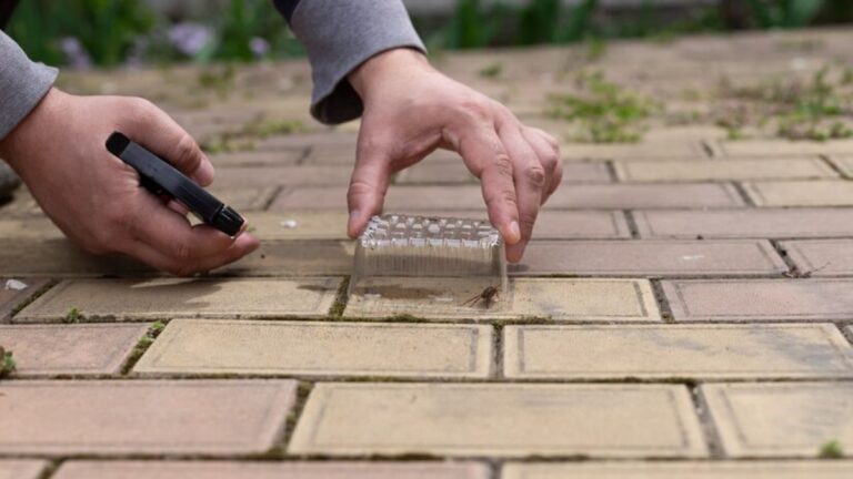 Paver Sealing